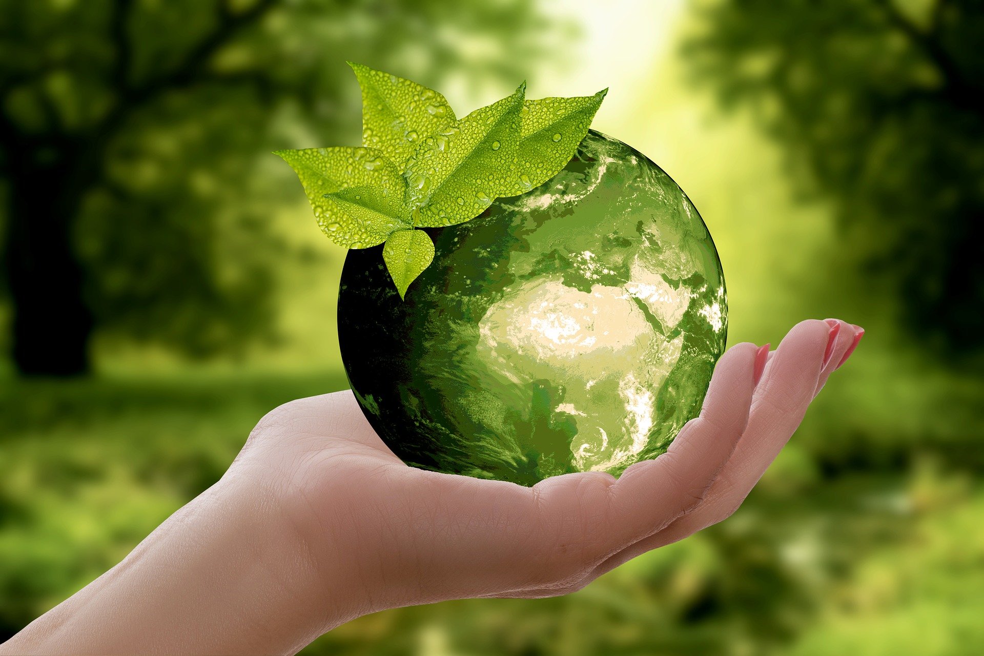 5 de junho – Dia Mundial do Meio Ambiente e Ecologia