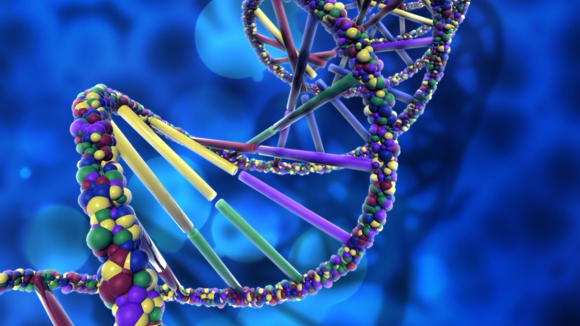 Qual o papel do geneticista no diagnóstico do Transtorno do Espectro Autista (TEA)?