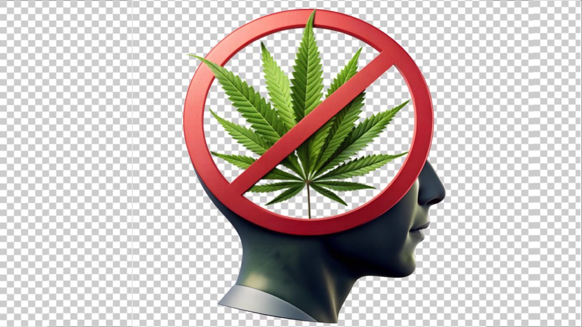 Maconha: o que pouca gente te conta